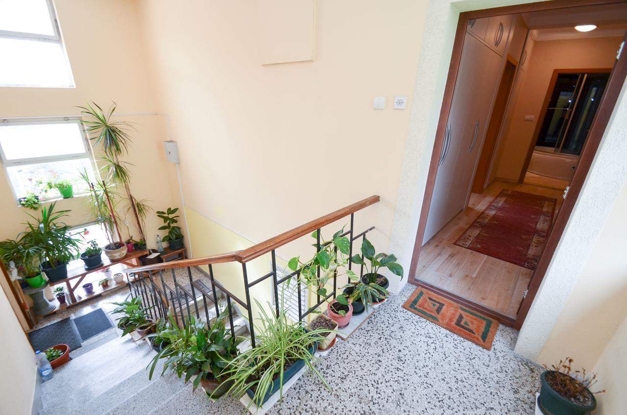Central Apartment 科托尔 外观 照片